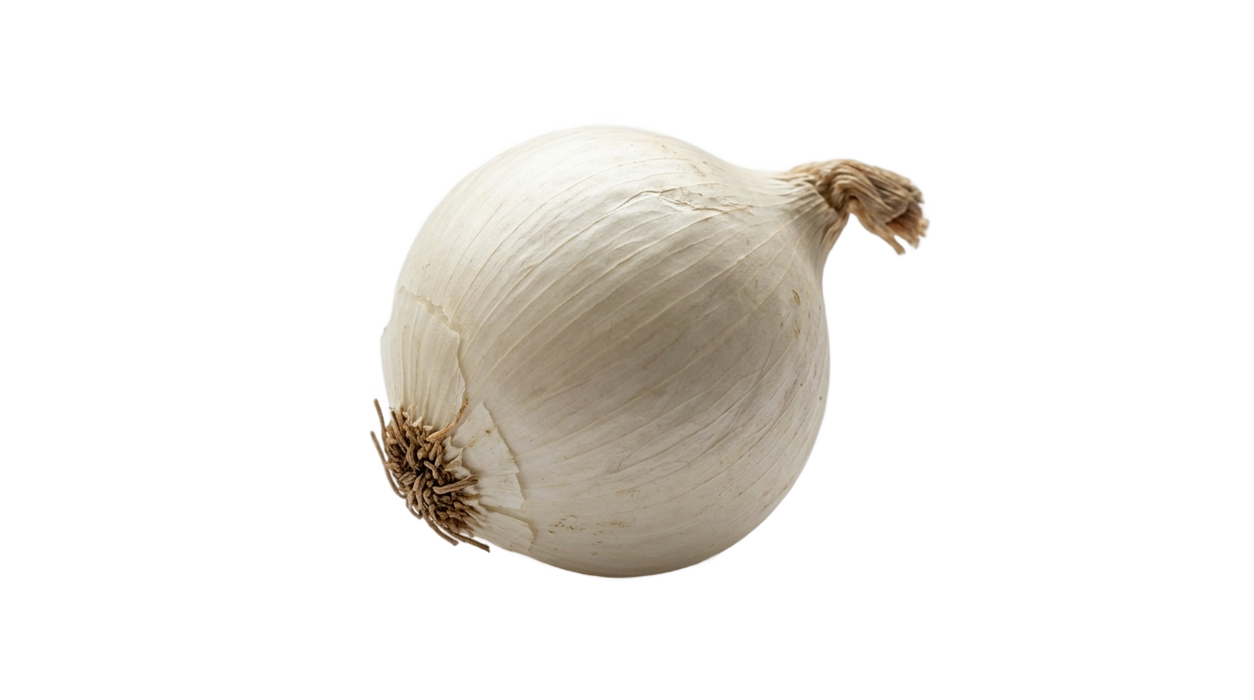 small onion png PNG transparent background
