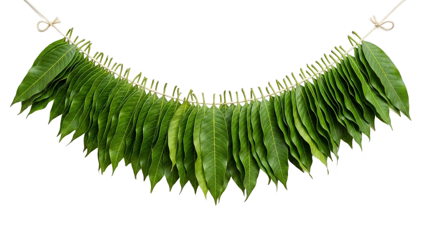 mango leaf toran png PNG transparent background
