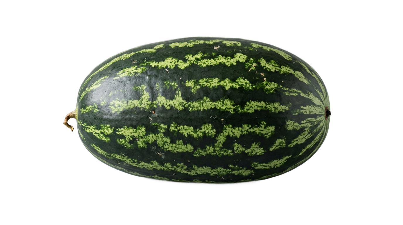 black watermelon png PNG transparent background