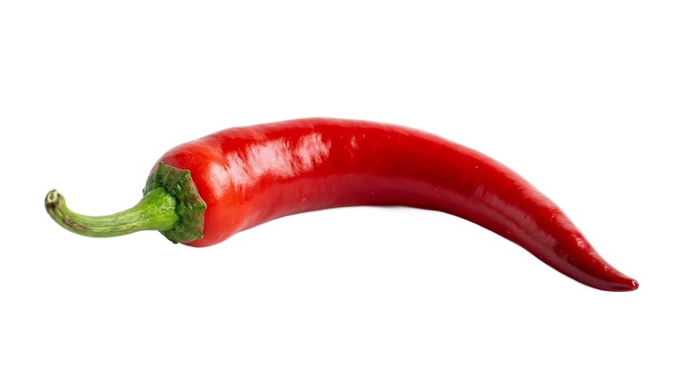 chili clipart png PNG transparent background