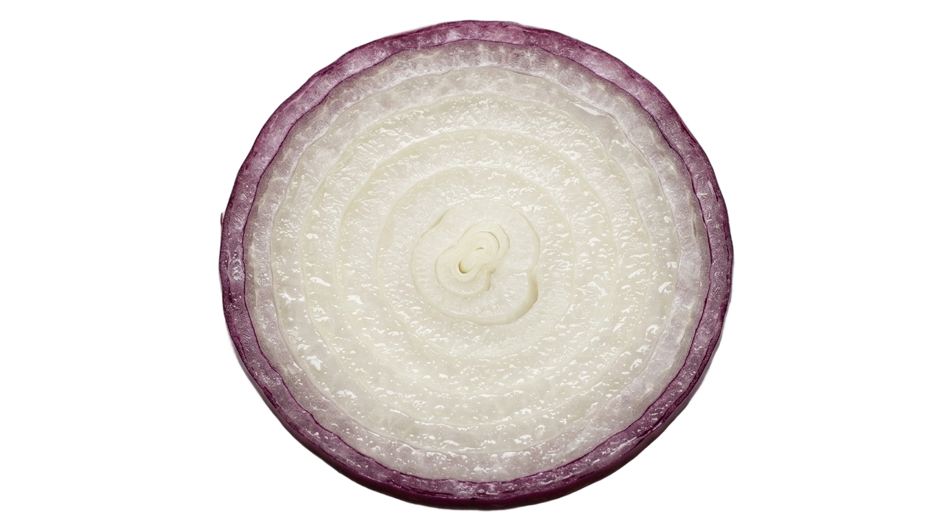 single onion slice png PNG transparent background