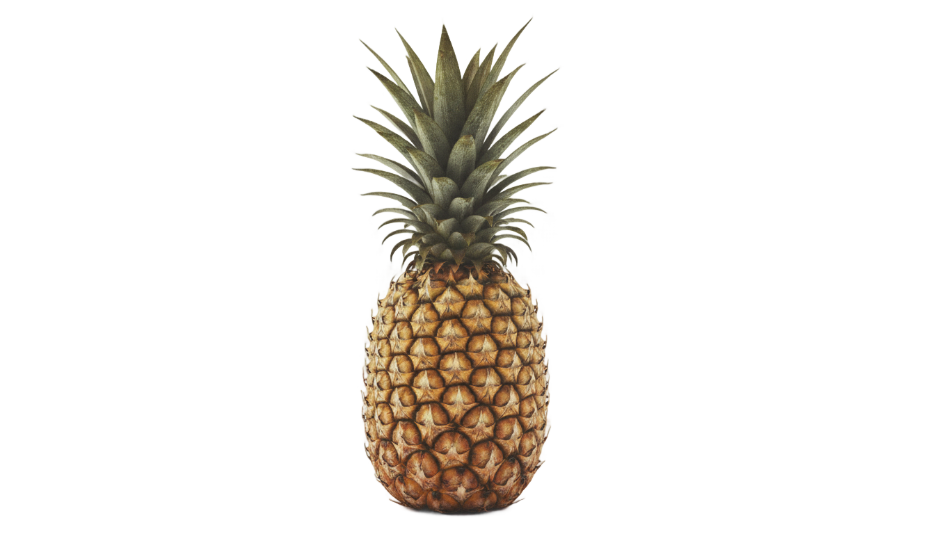 pineapple png tumblr PNG transparent background
