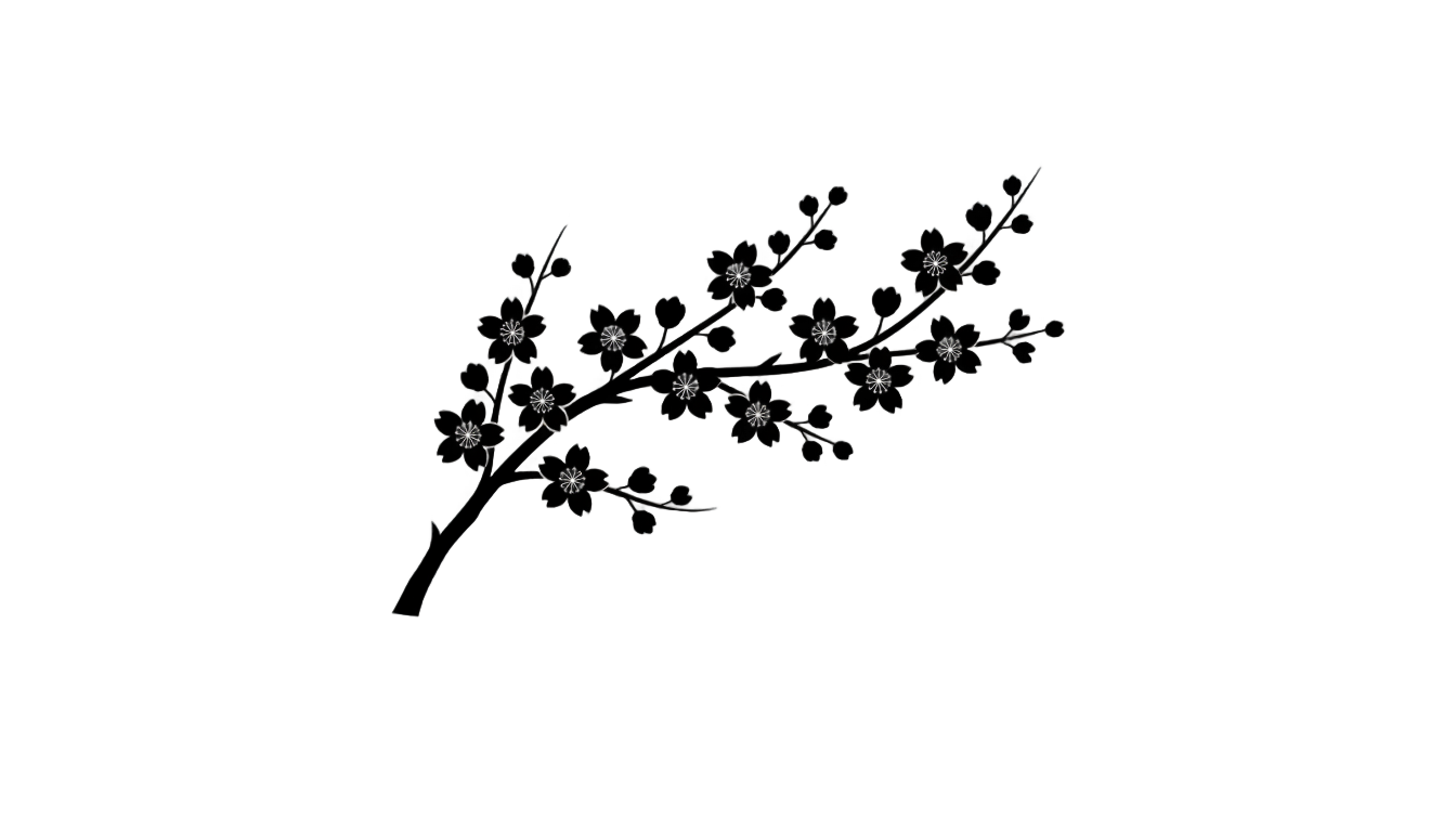 cherry blossom silhouette png PNG transparent background