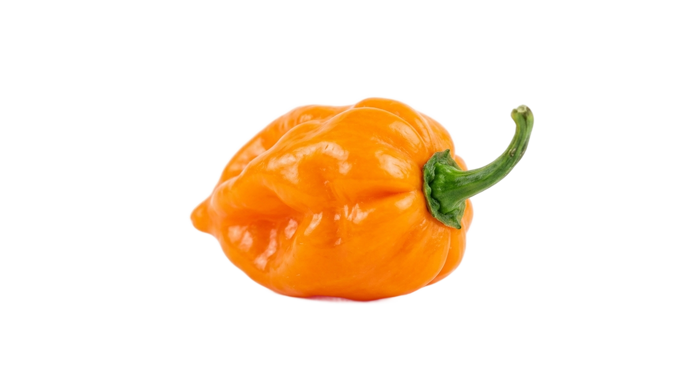 habanero pepper png PNG transparent background