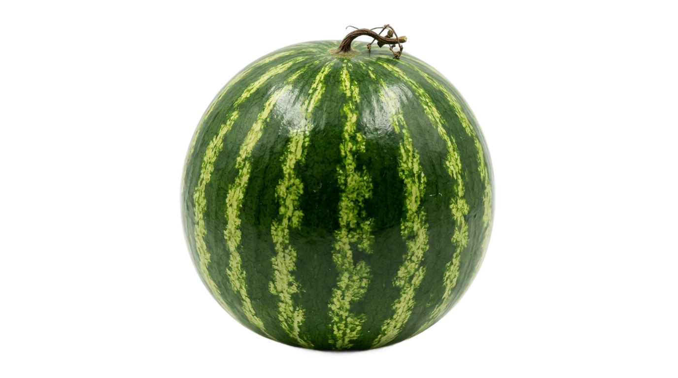 whole watermelon clipart png PNG transparent background