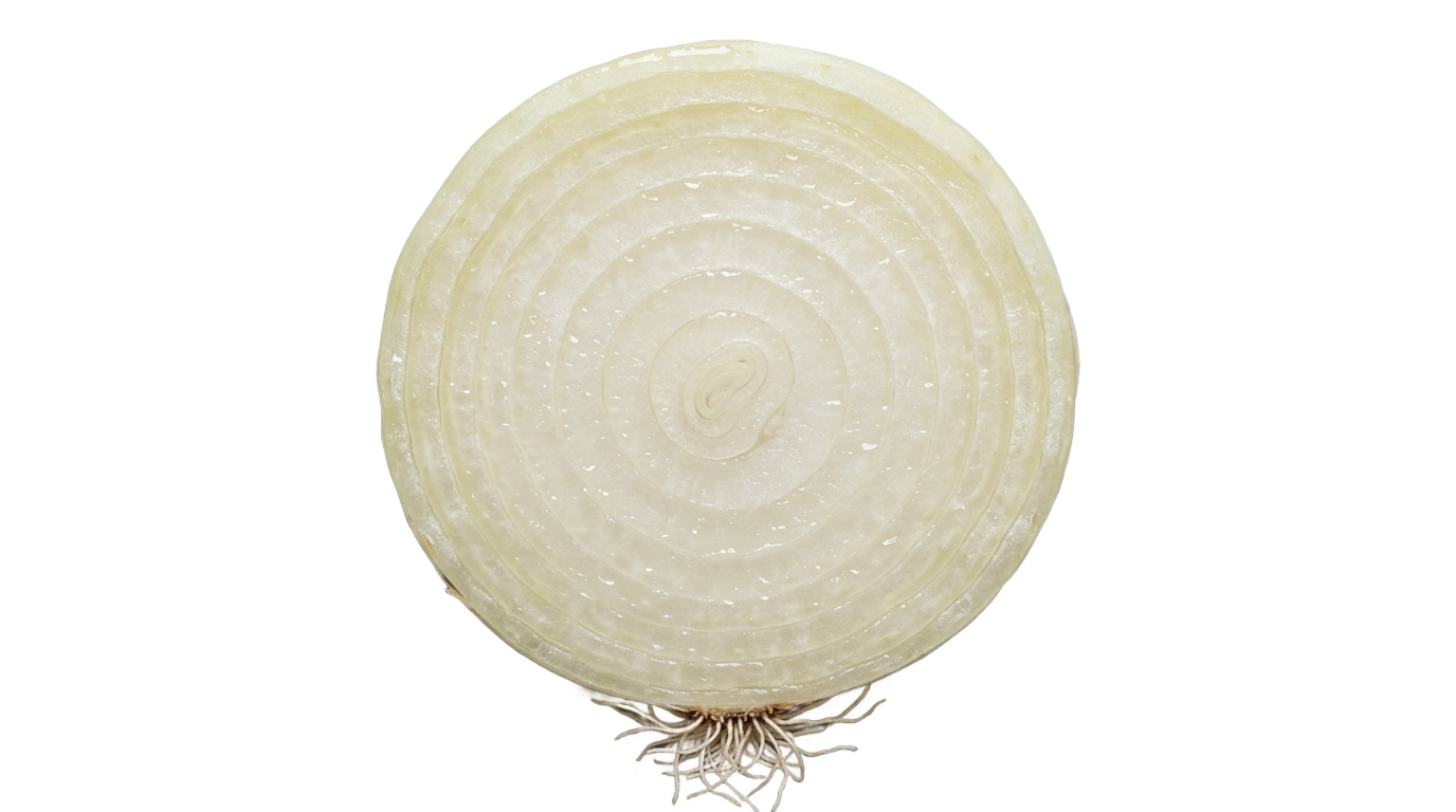 white onion slice png PNG transparent background