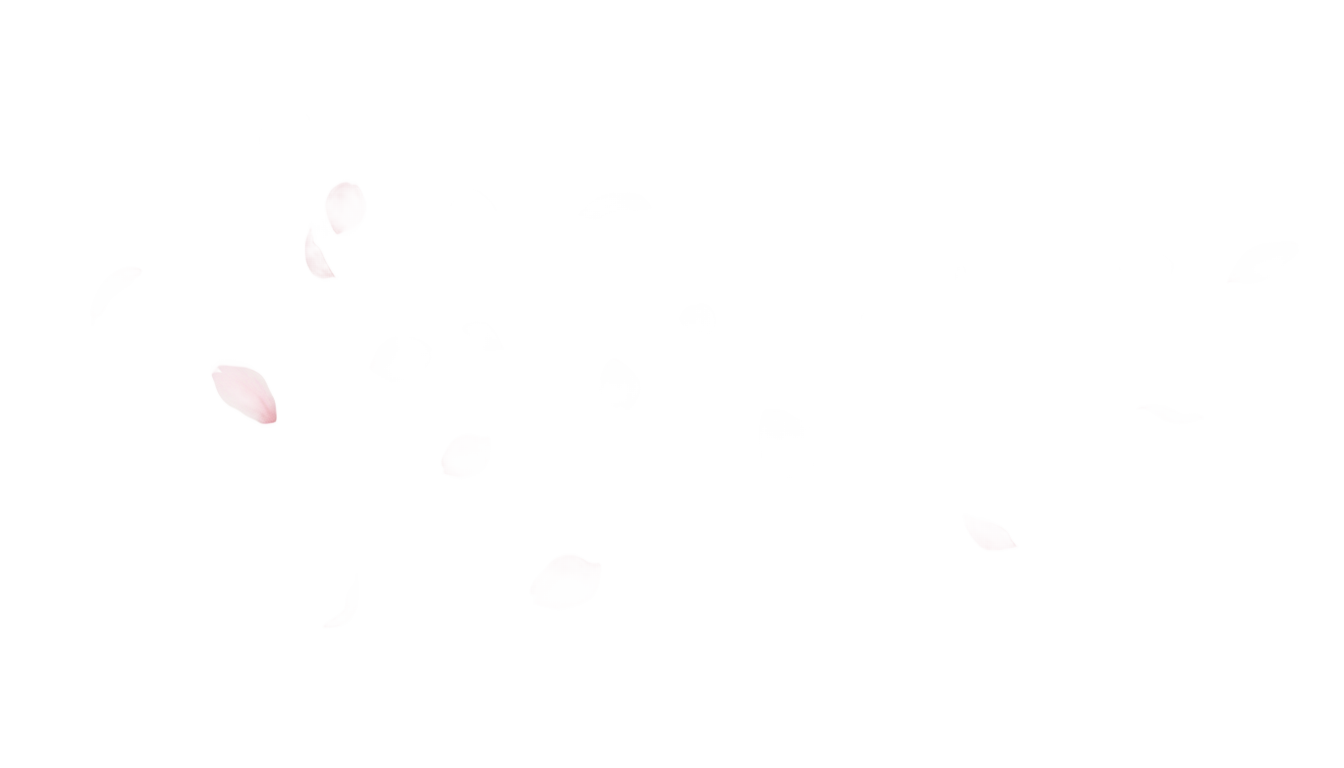 cherry blossom leaves falling png PNG transparent background