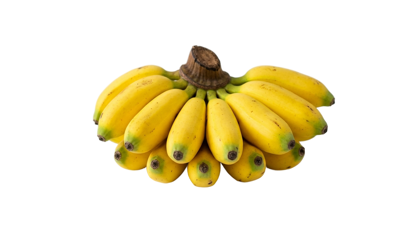 banana nanica png PNG transparent background