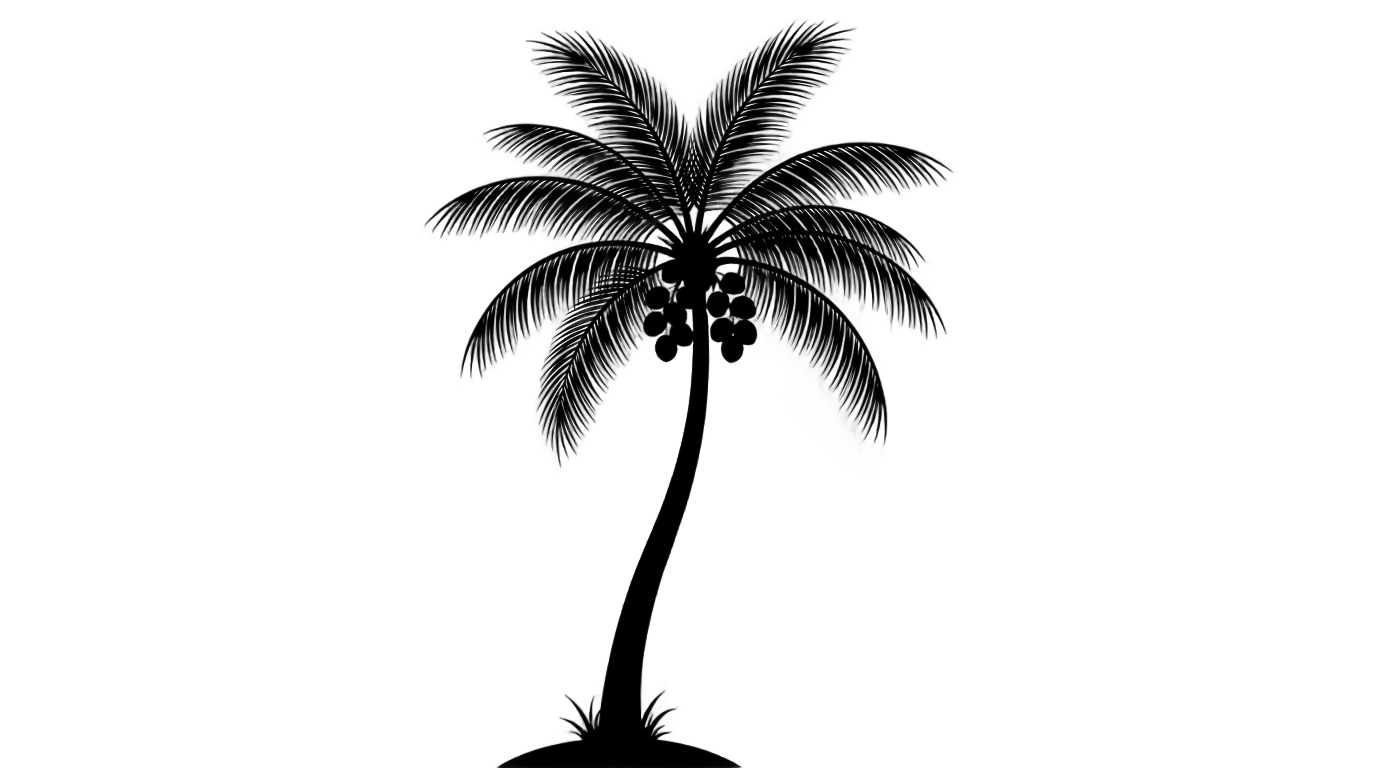 coconut tree png black and white PNG transparent background