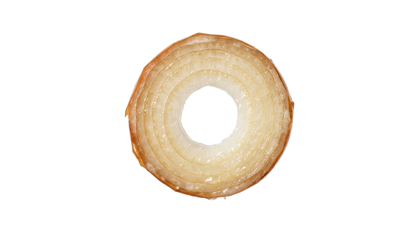 flying onion slice png PNG transparent background