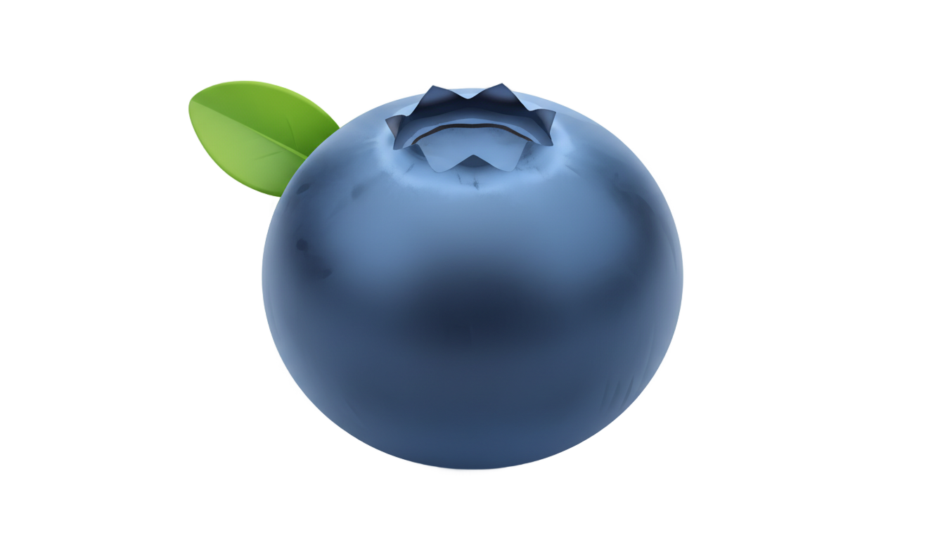 blueberry vector png PNG transparent background