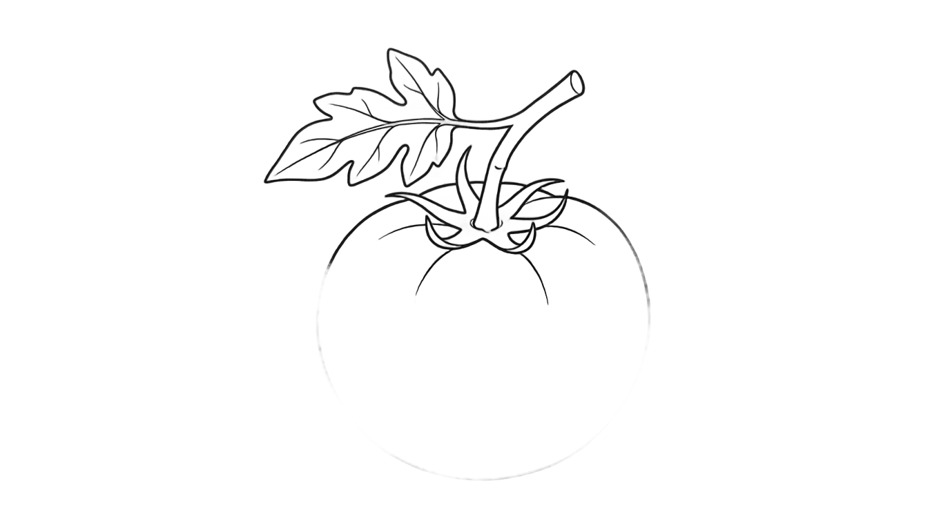 tomato outline png PNG transparent background