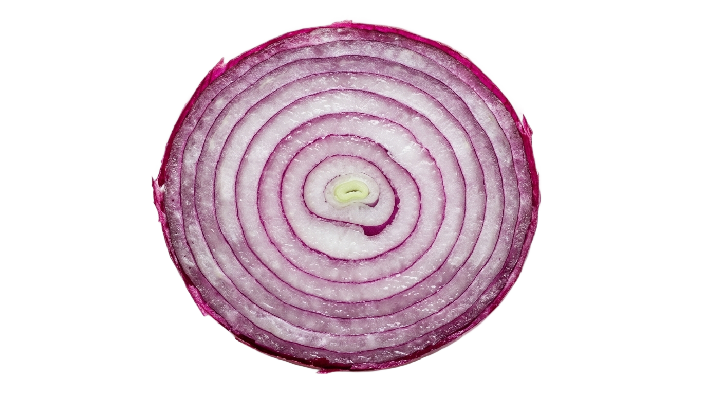 red onion slice png PNG transparent background