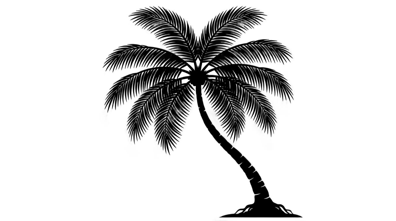 coconut tree clipart black and white png PNG transparent background