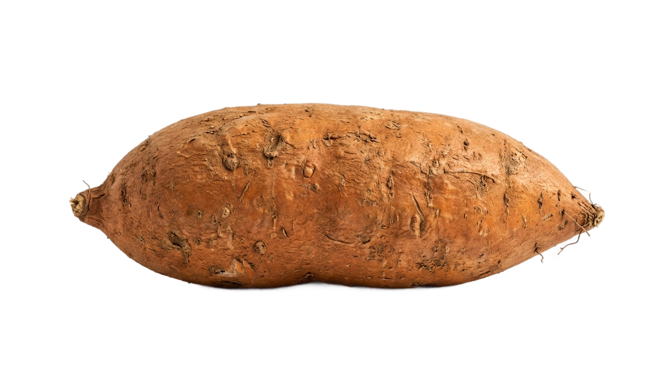 sweet potato icon png PNG transparent background