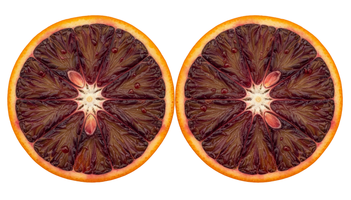blood orange png PNG transparent background