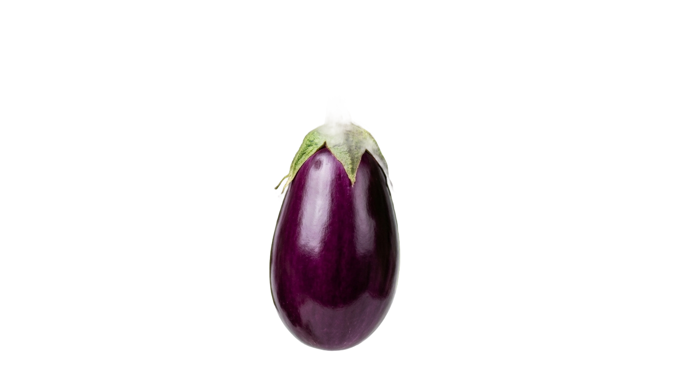 eggplant plant png PNG transparent background