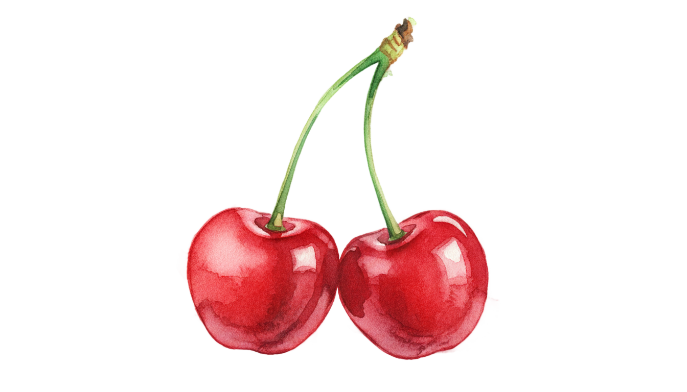 cherry watercolor png PNG transparent background