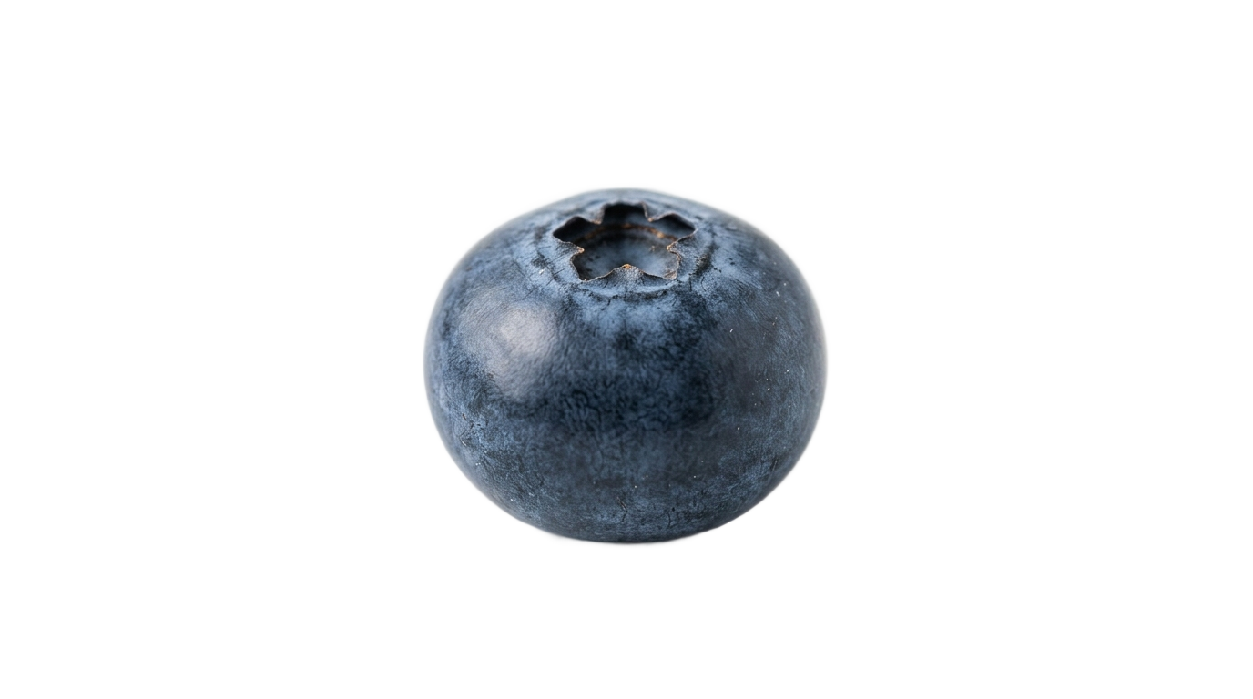 single blueberry clipart png PNG transparent background
