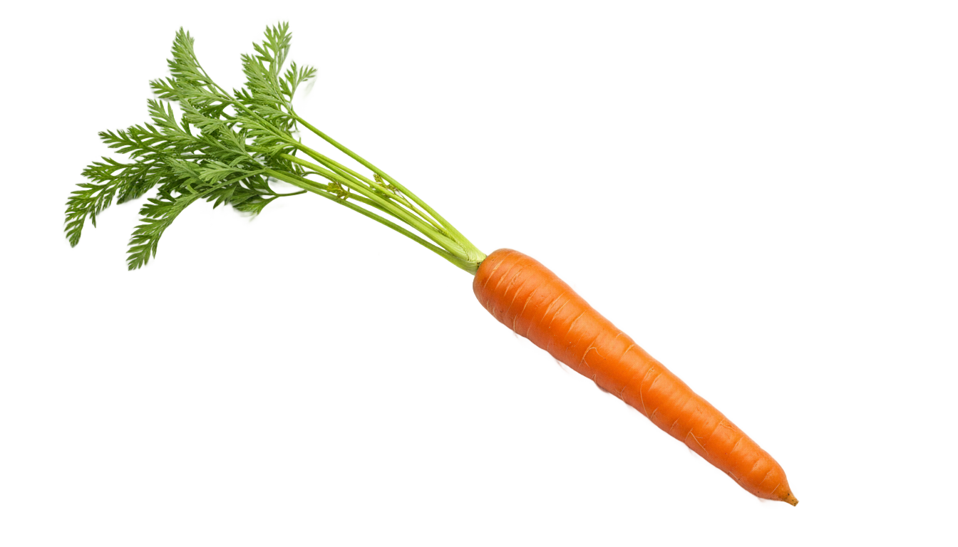 carrot clip art png PNG transparent background