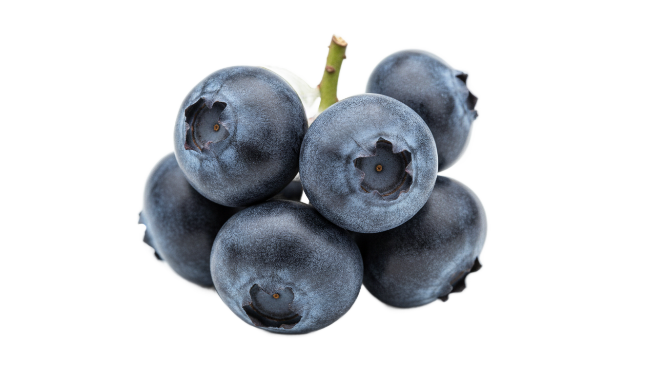 grow a garden blueberry png PNG transparent background