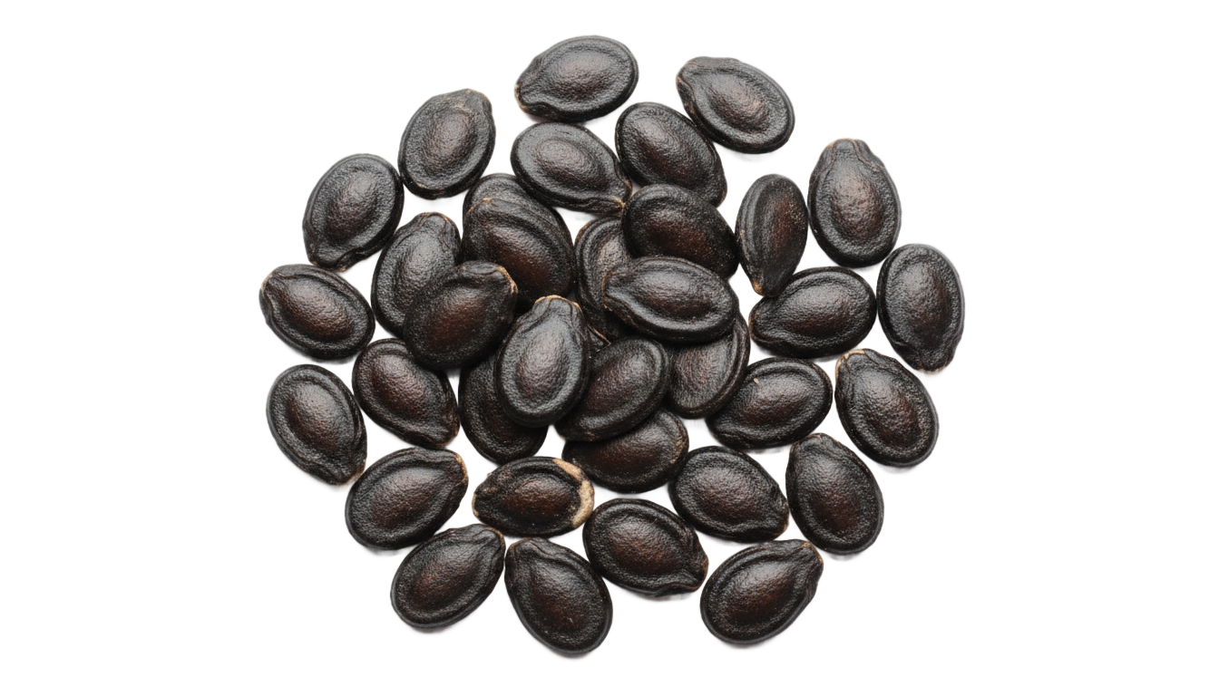 watermelon seeds png PNG transparent background