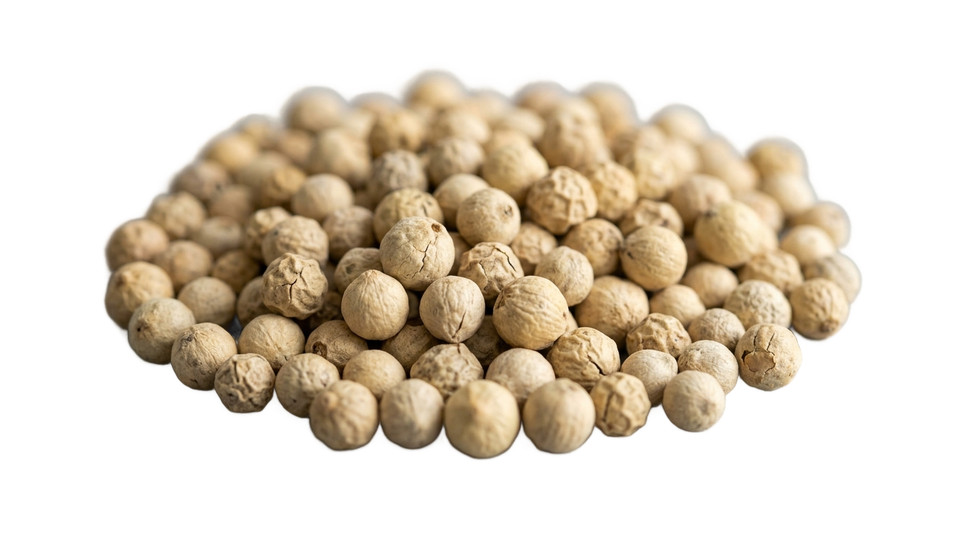 white pepper png PNG transparent background
