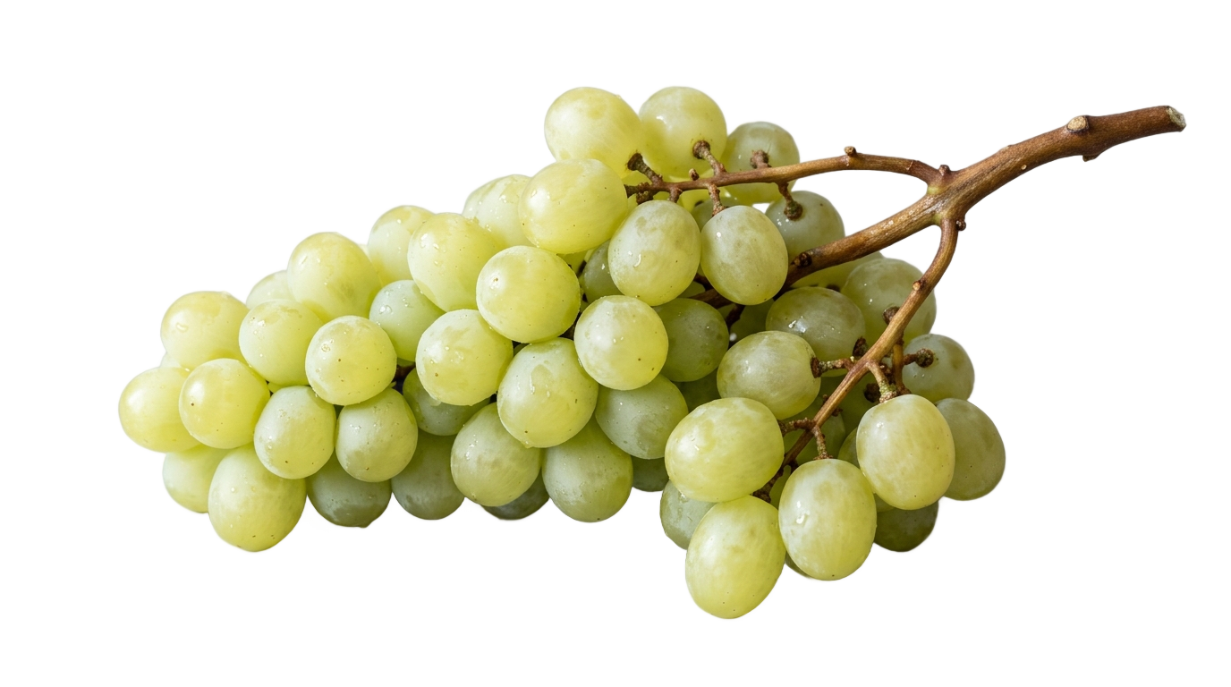 white grape png PNG transparent background