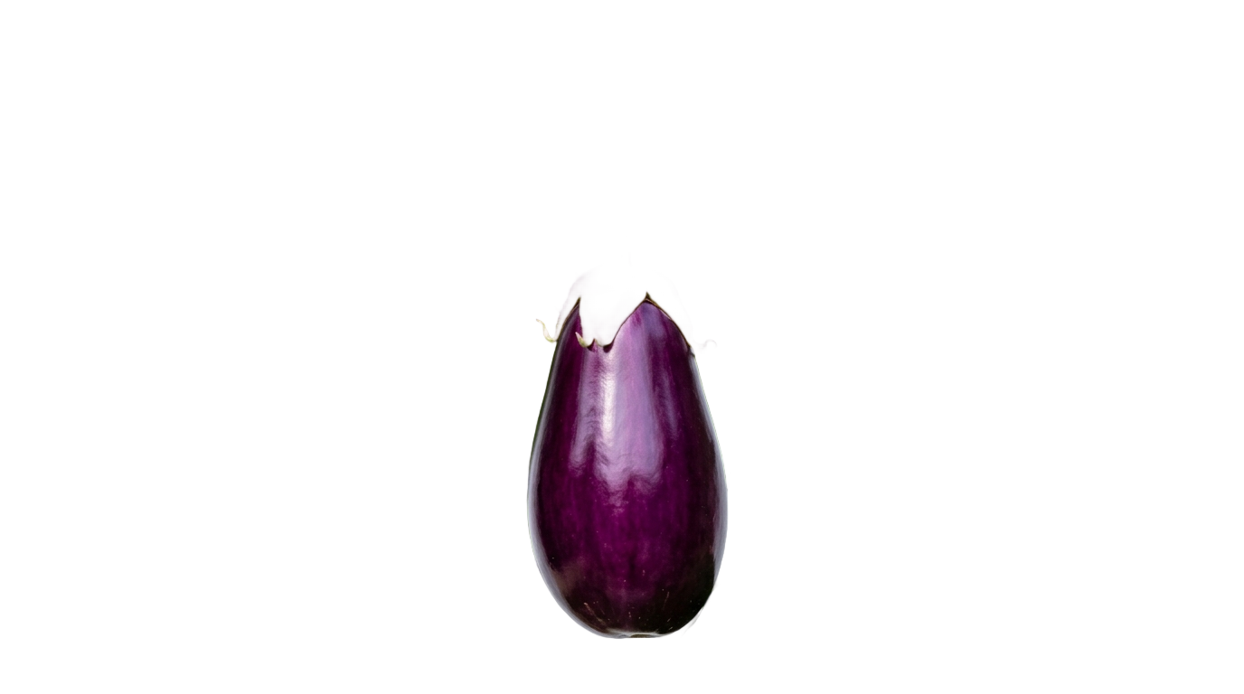 eggplant plant png PNG transparent background