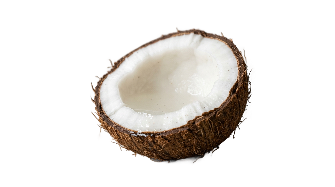 half coconut png PNG transparent background