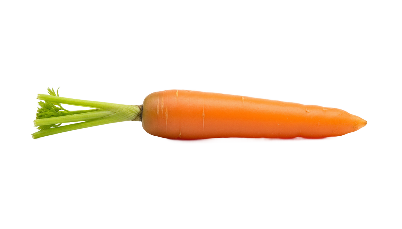 baby carrot png PNG transparent background