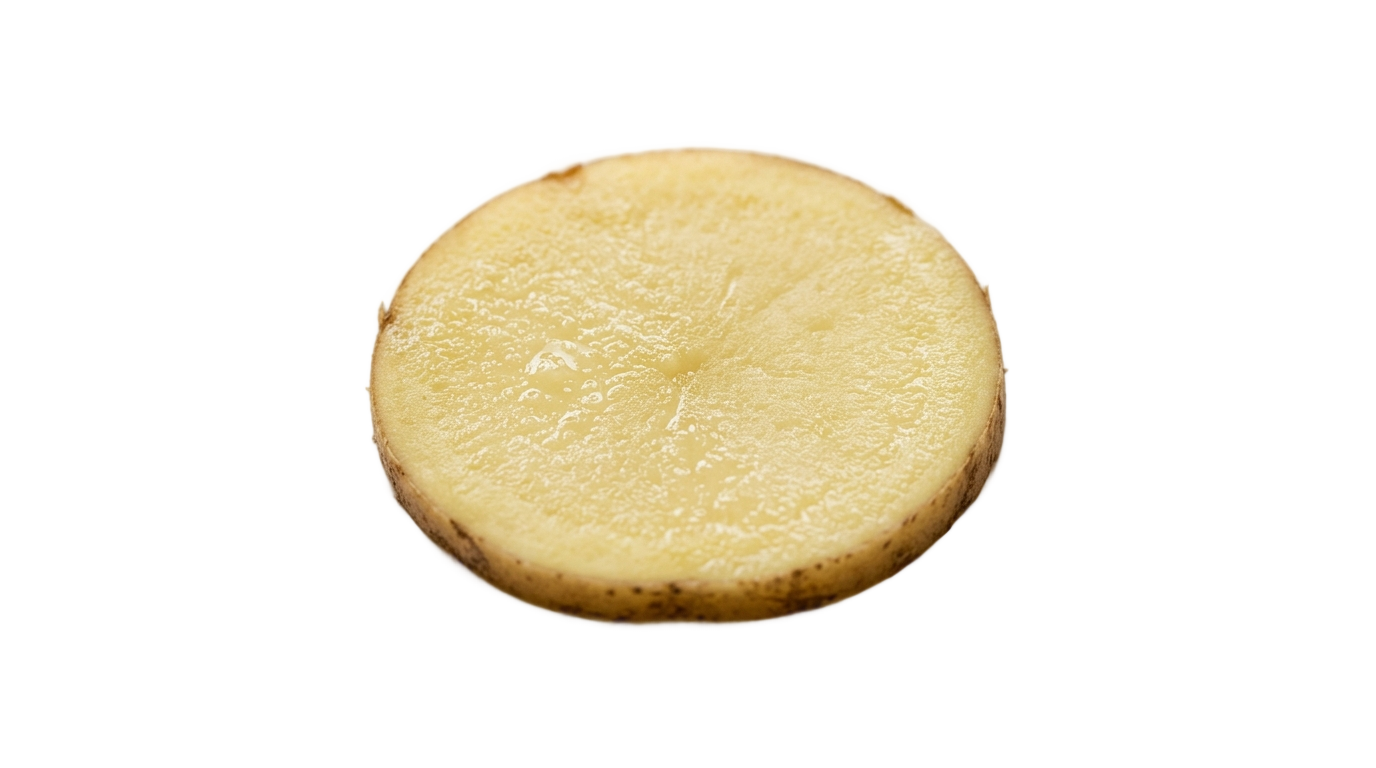 potato slice png PNG transparent background