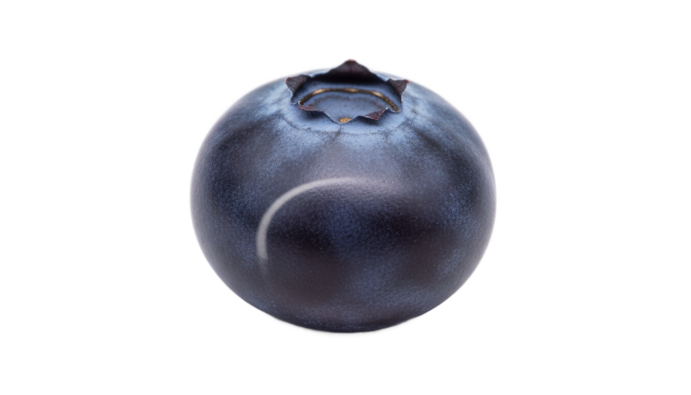 blueberry emoji png PNG transparent background