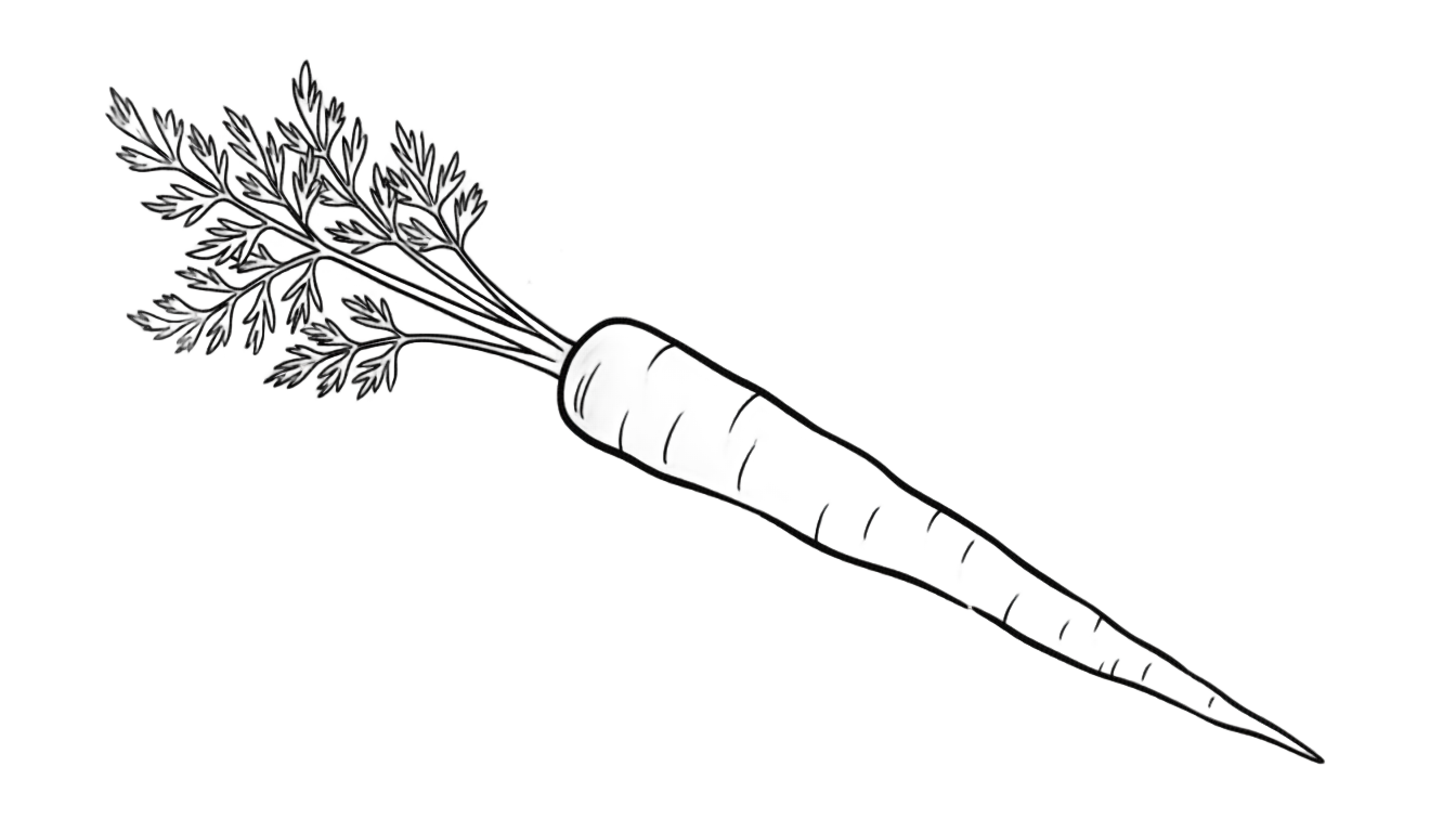 carrot black and white png PNG transparent background