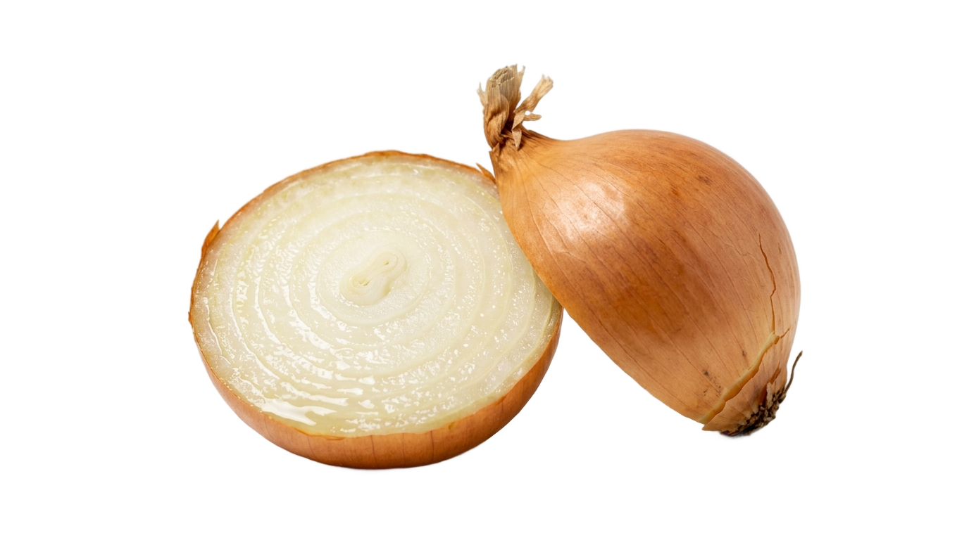 cut onion png PNG transparent background