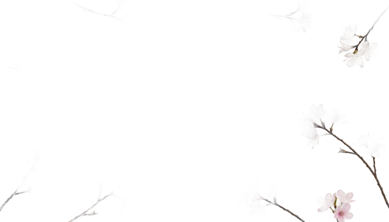cherry blossom overlay png PNG transparent background