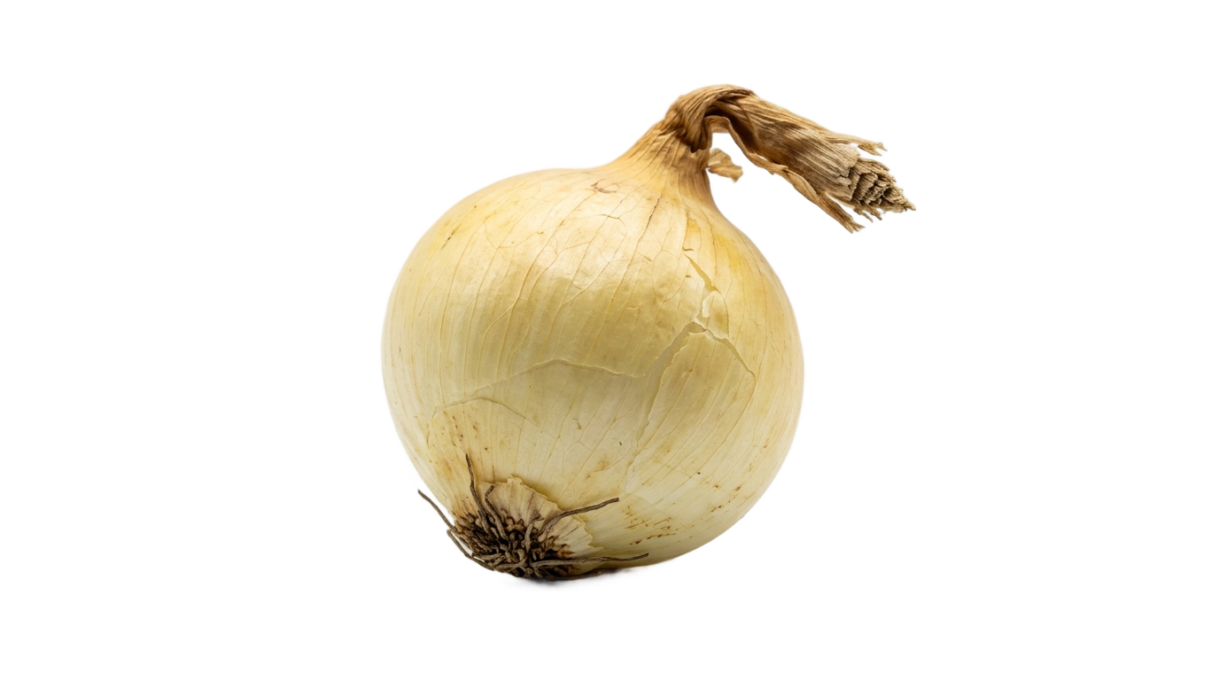 small onion png PNG transparent background