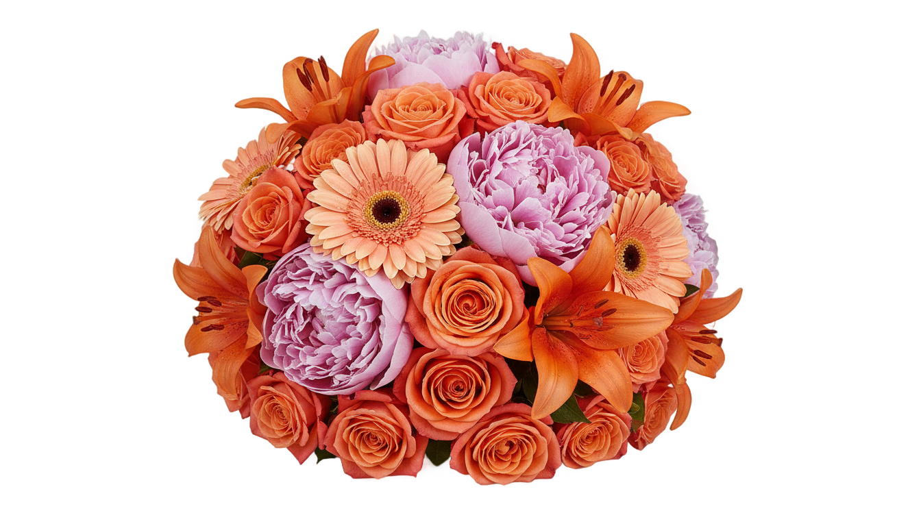 pink and orange flowers png PNG transparent background