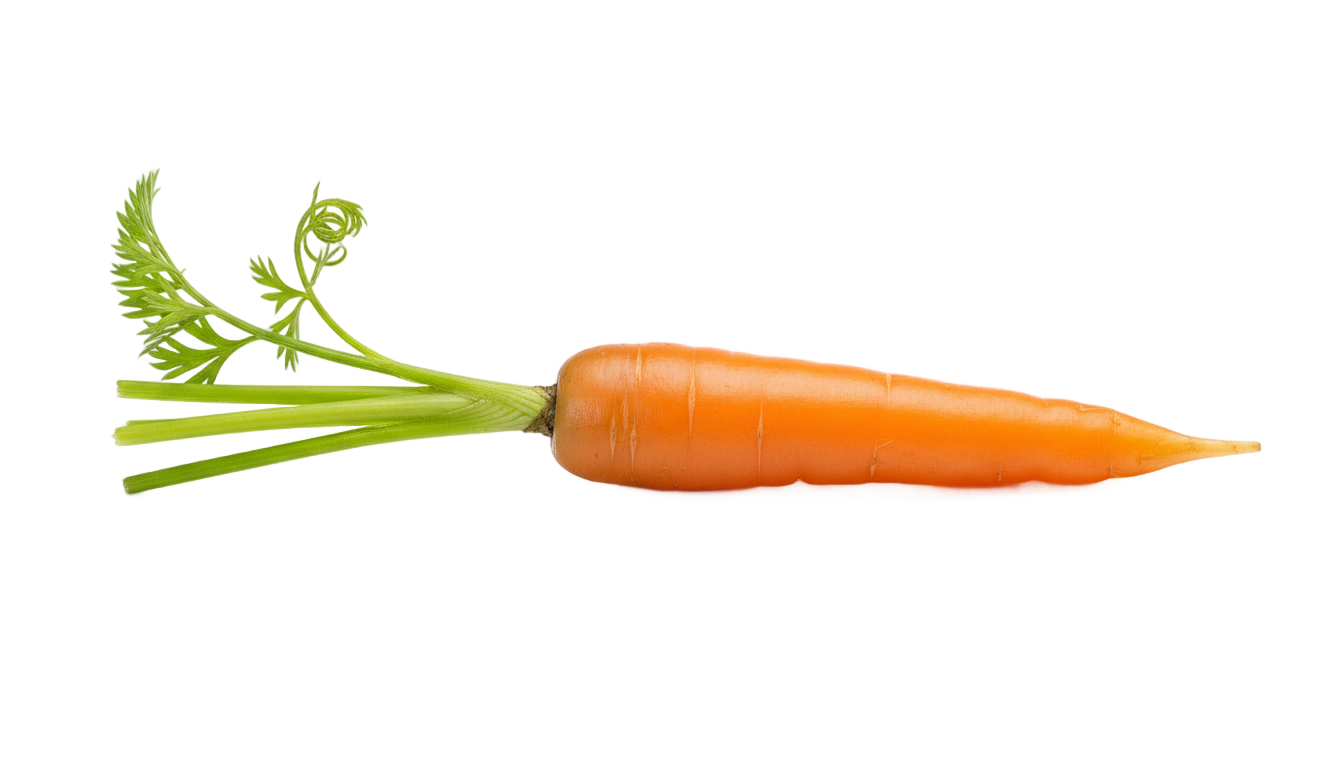 baby carrot png PNG transparent background