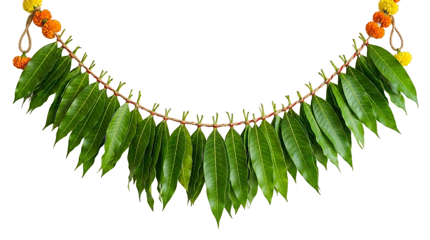 mango leaves garland png PNG transparent background
