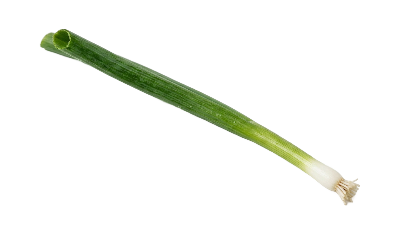 onion leaf png PNG transparent background
