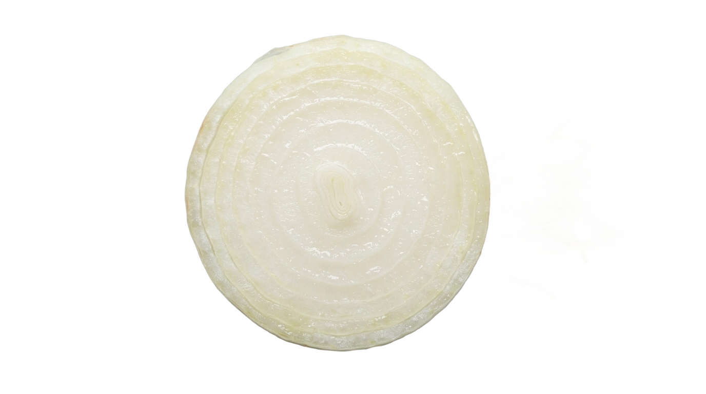 white onion slice png PNG transparent background