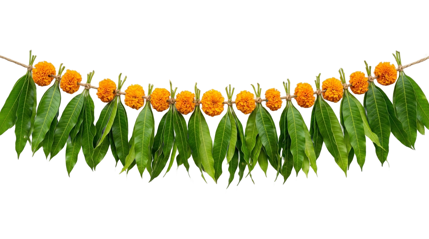 mango leaf thoranam png PNG transparent background