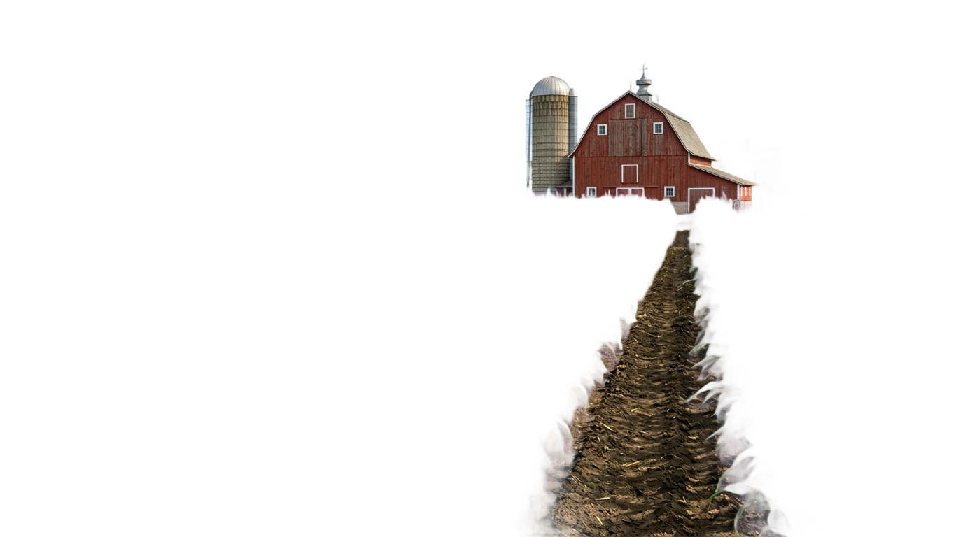corn farm png PNG transparent background