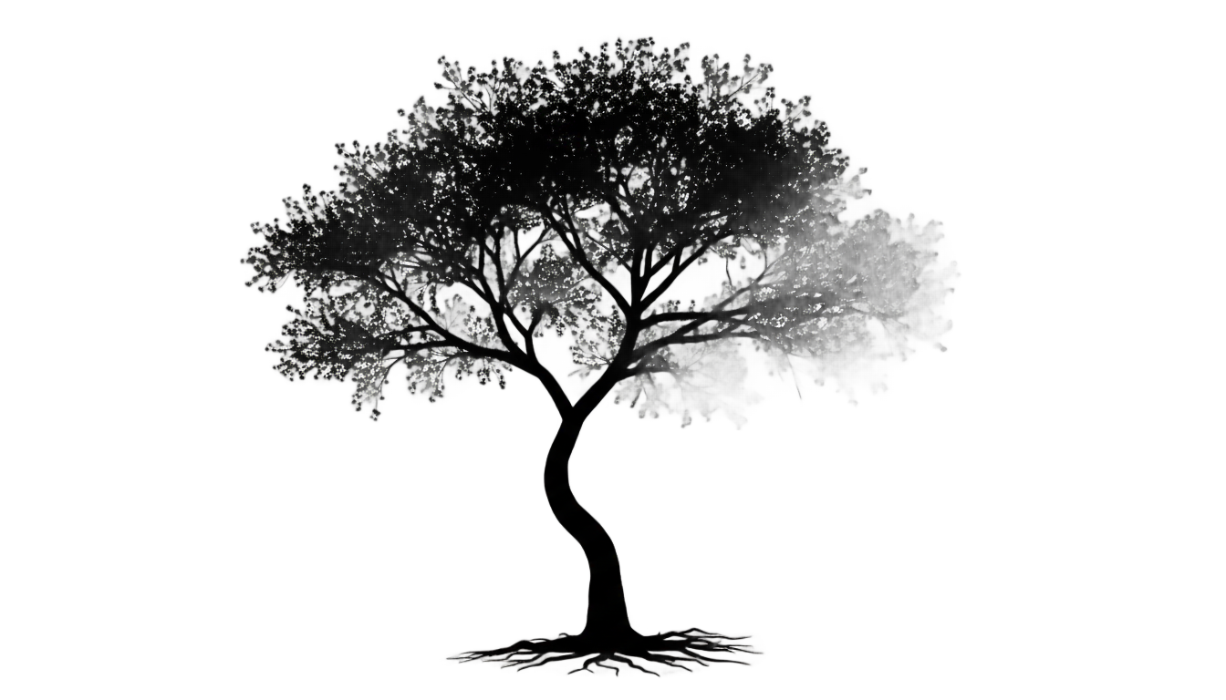 cherry blossom tree silhouette png PNG transparent background