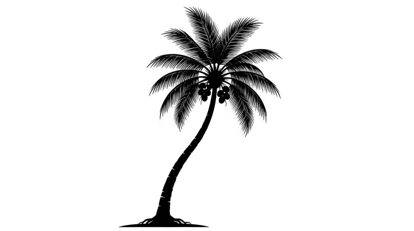 coconut tree png black PNG transparent background