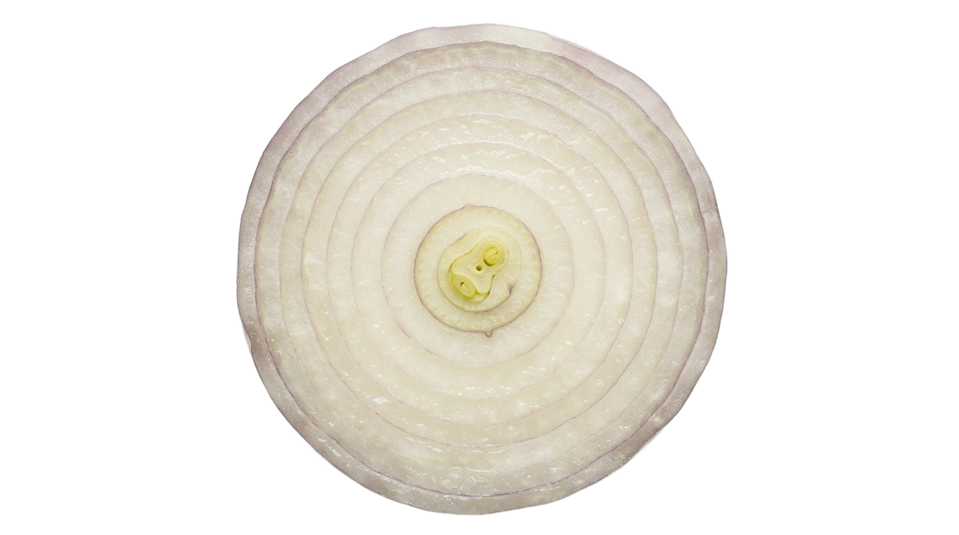 onion slice clipart png PNG transparent background