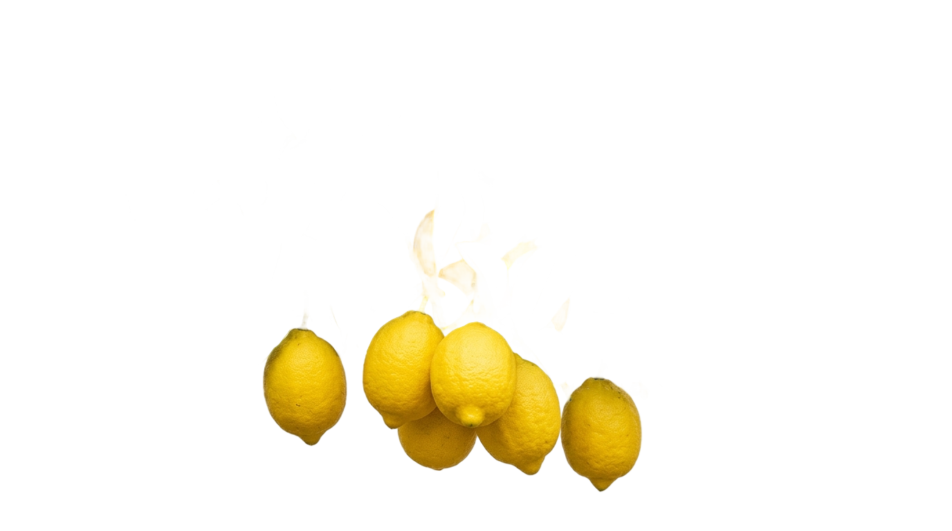 lemon branch png PNG transparent background