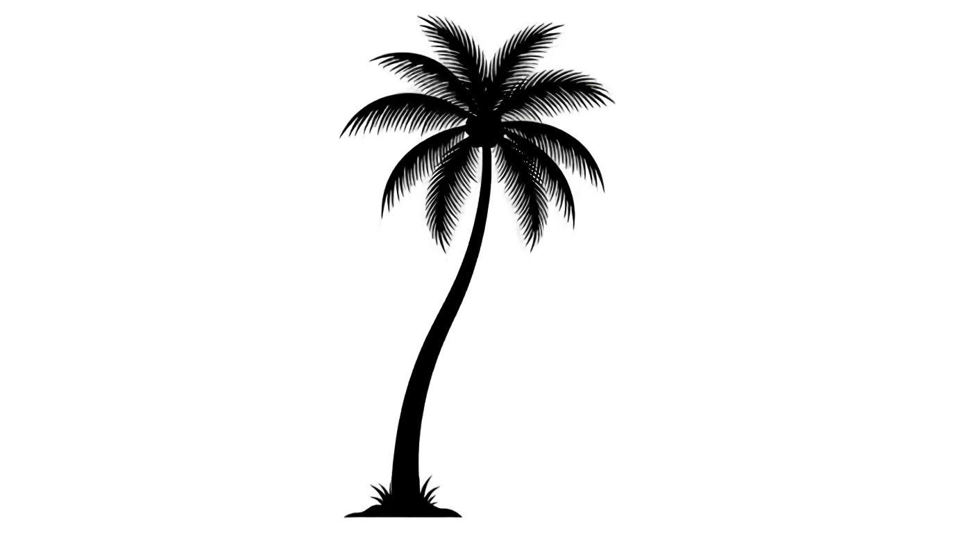 coconut tree clipart black and white png PNG transparent background