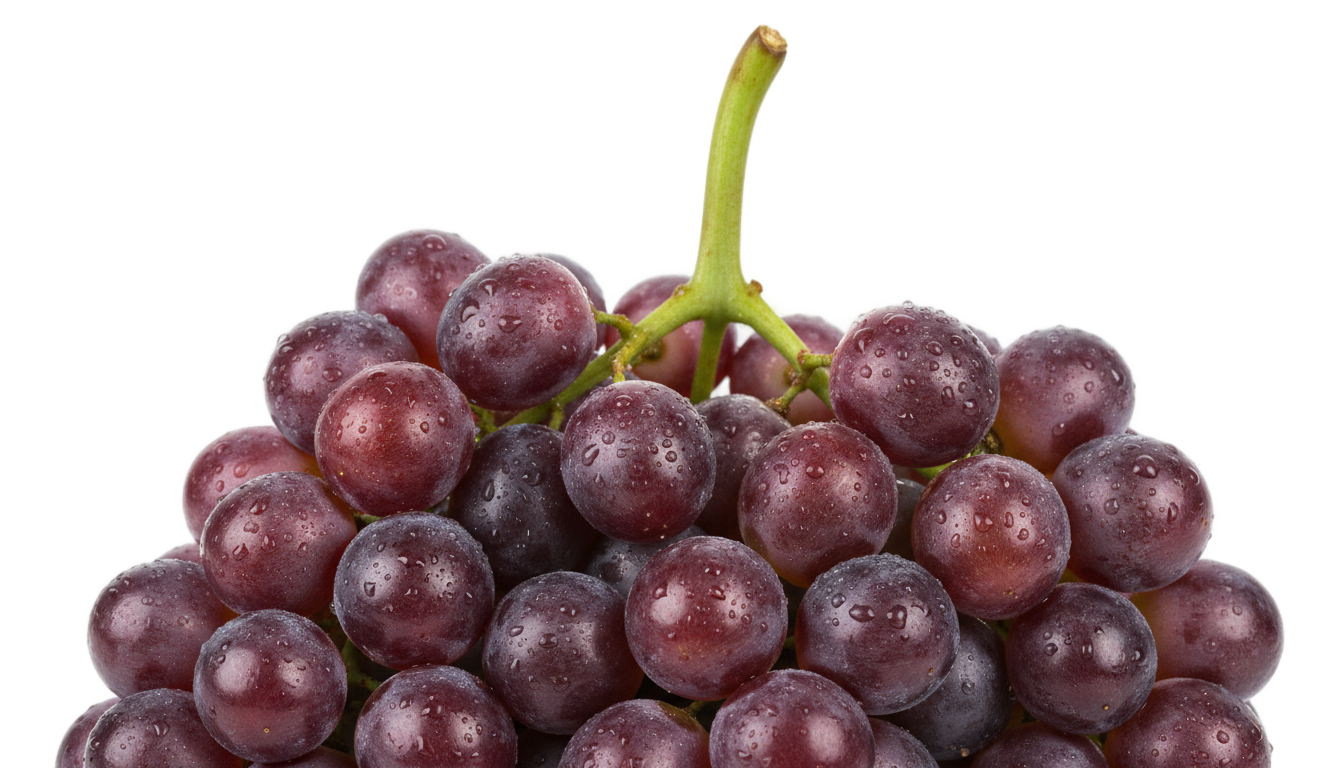 grape panta png PNG transparent background